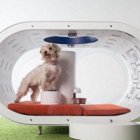 Bark to the future kennel